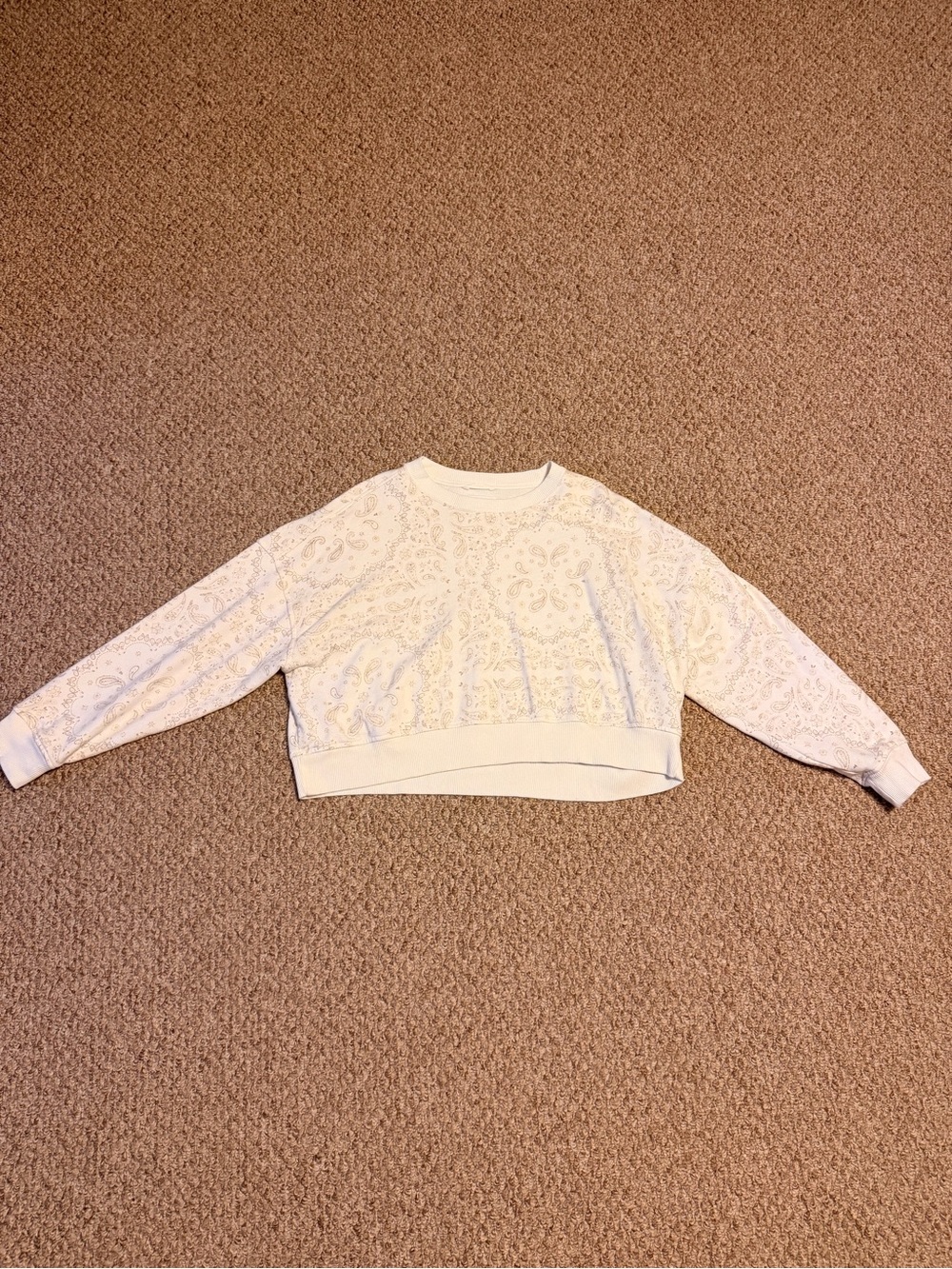 Aerie Cream/Off-White Cozy Pullover Sweatshirt